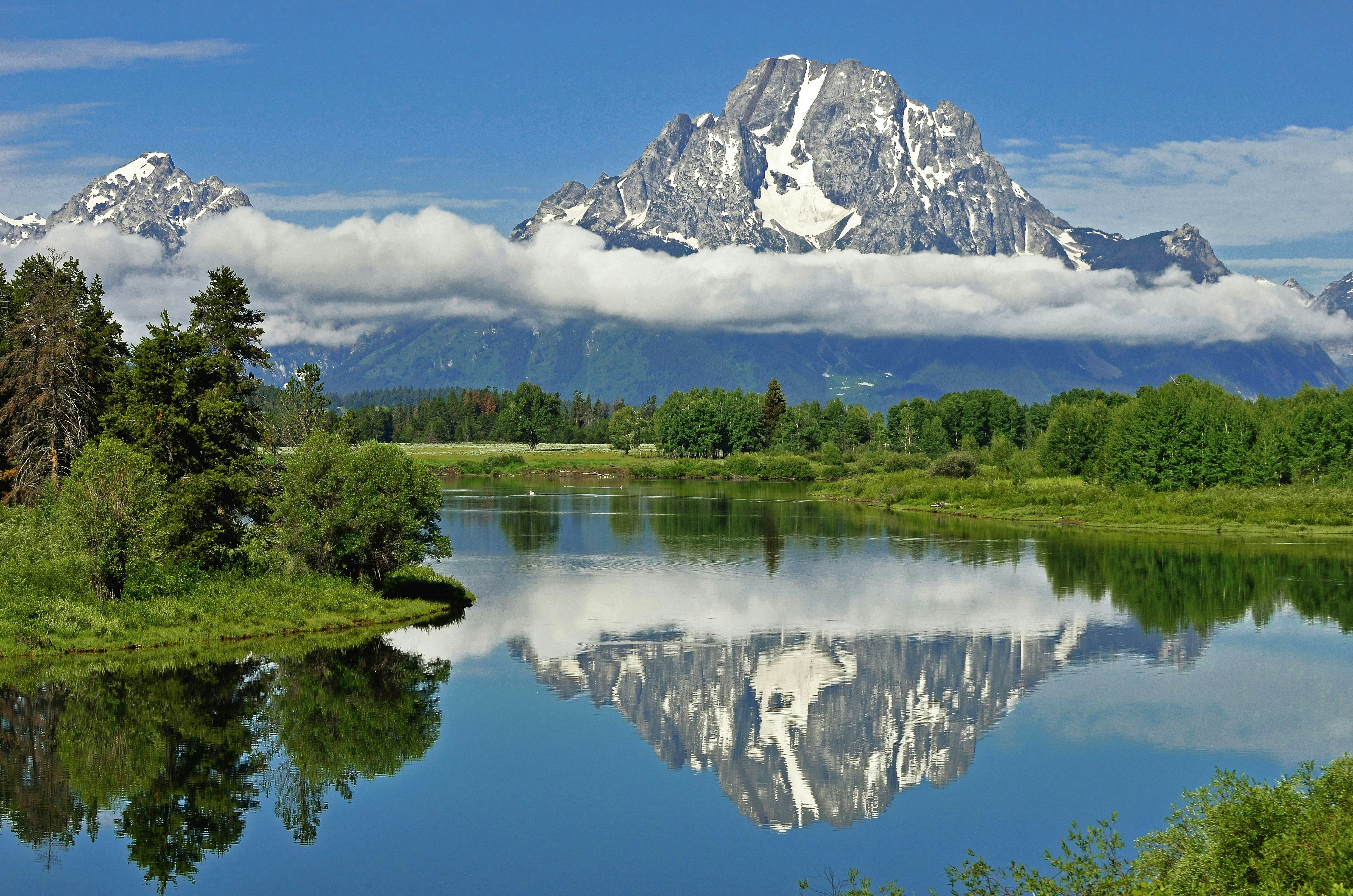 alps mountain near green trees