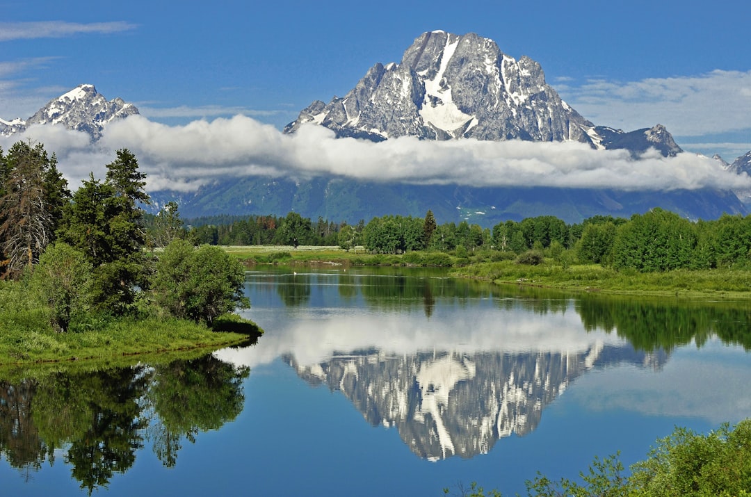 alps mountain near green trees, Mount Moran from Oxbow Bend on the “Snake river" Wyoming Taken August 2011. During a 4,500 mile 3 week road trip. Very early morning, while driving from Yellowstone to Denver.