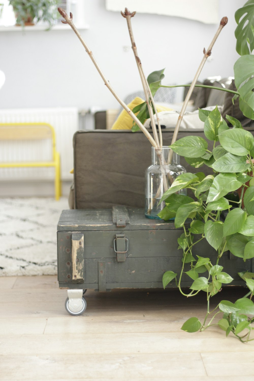 a suitcase sitting on the floor next to a plant