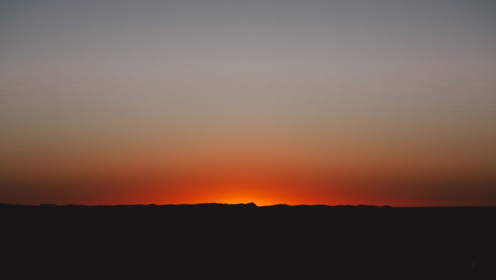 silhouette of trees during golden hour