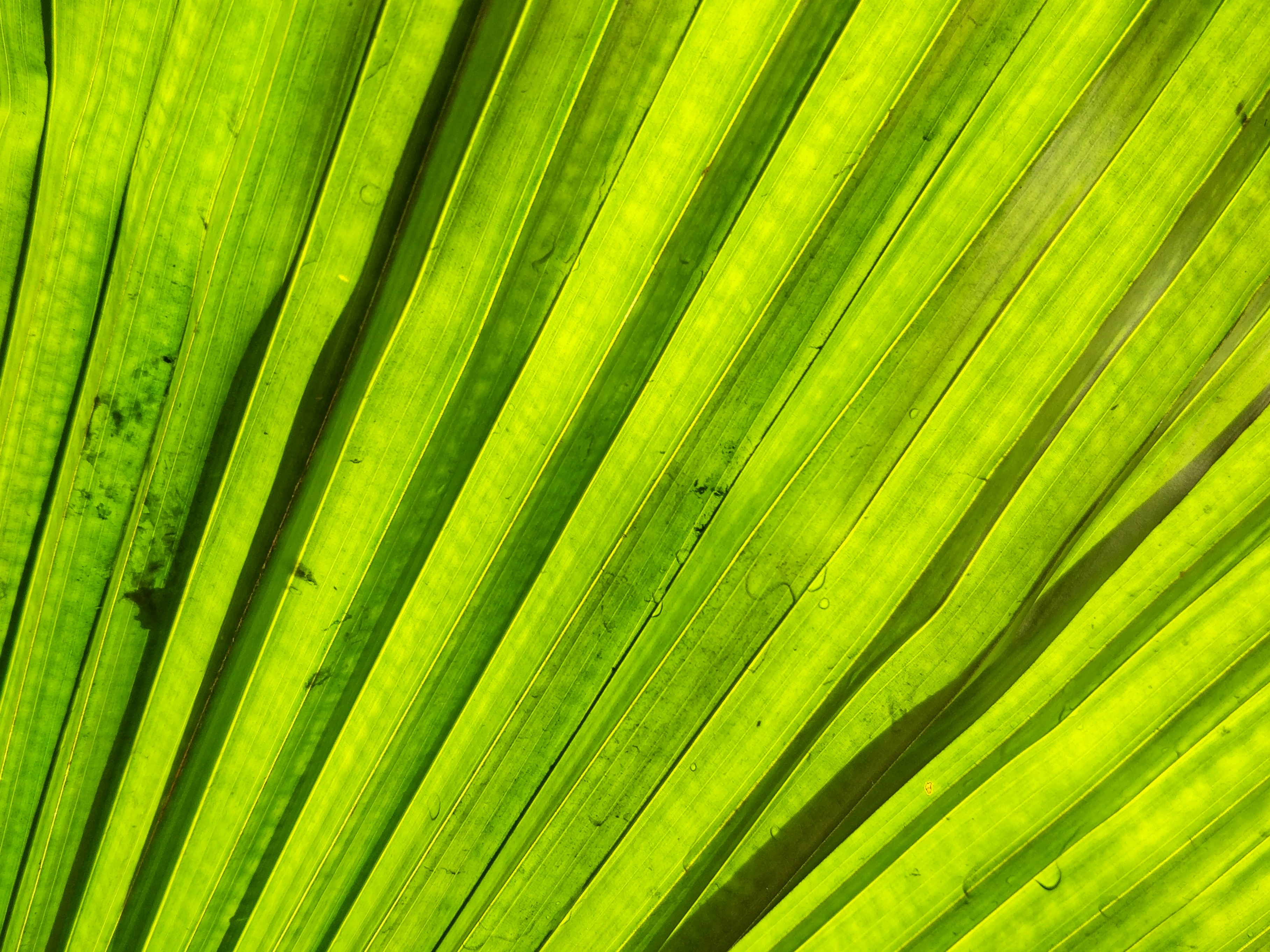 Photo by amruthpillai