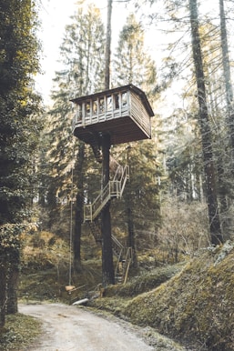 gray and brown wooden tree houose