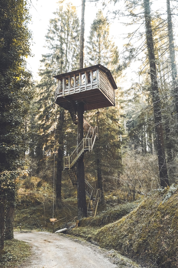 Our Treehouse in the Sky