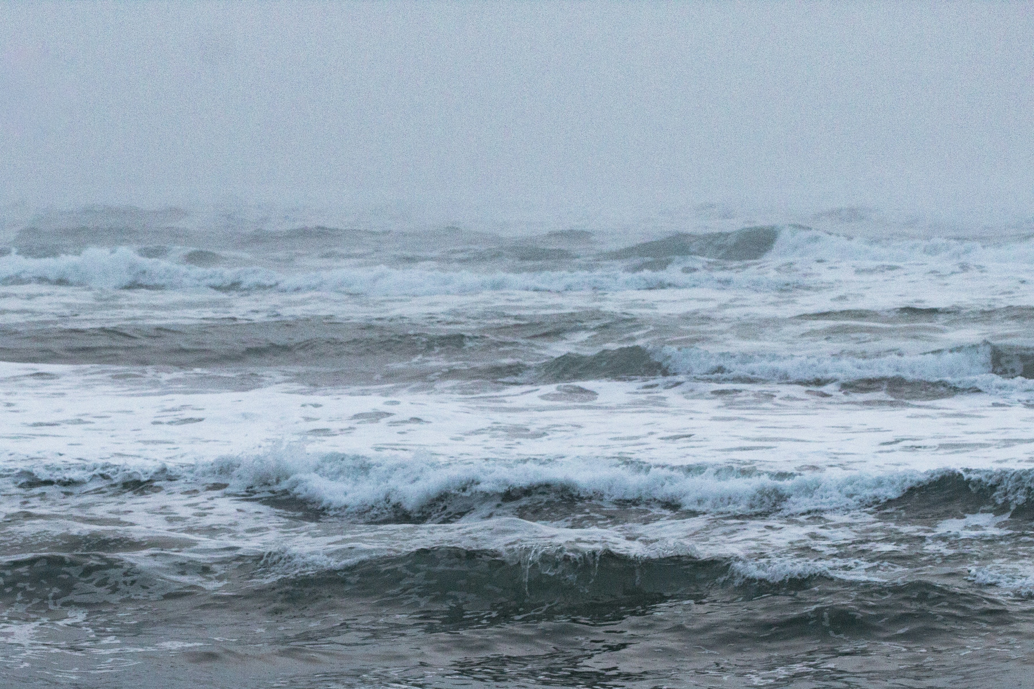 Photo by _tedsphotos_