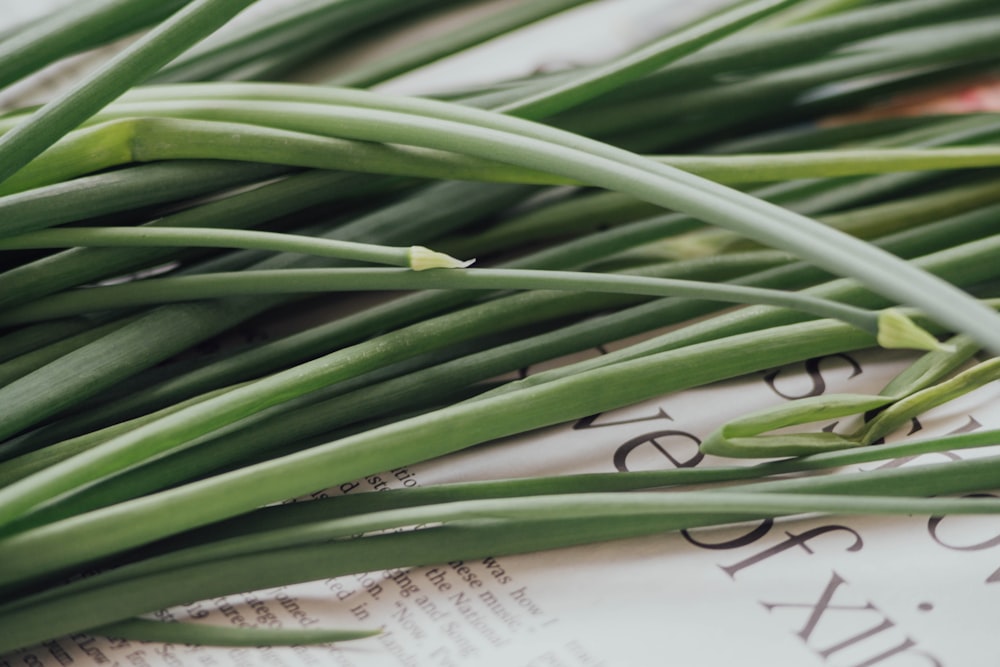 green plants