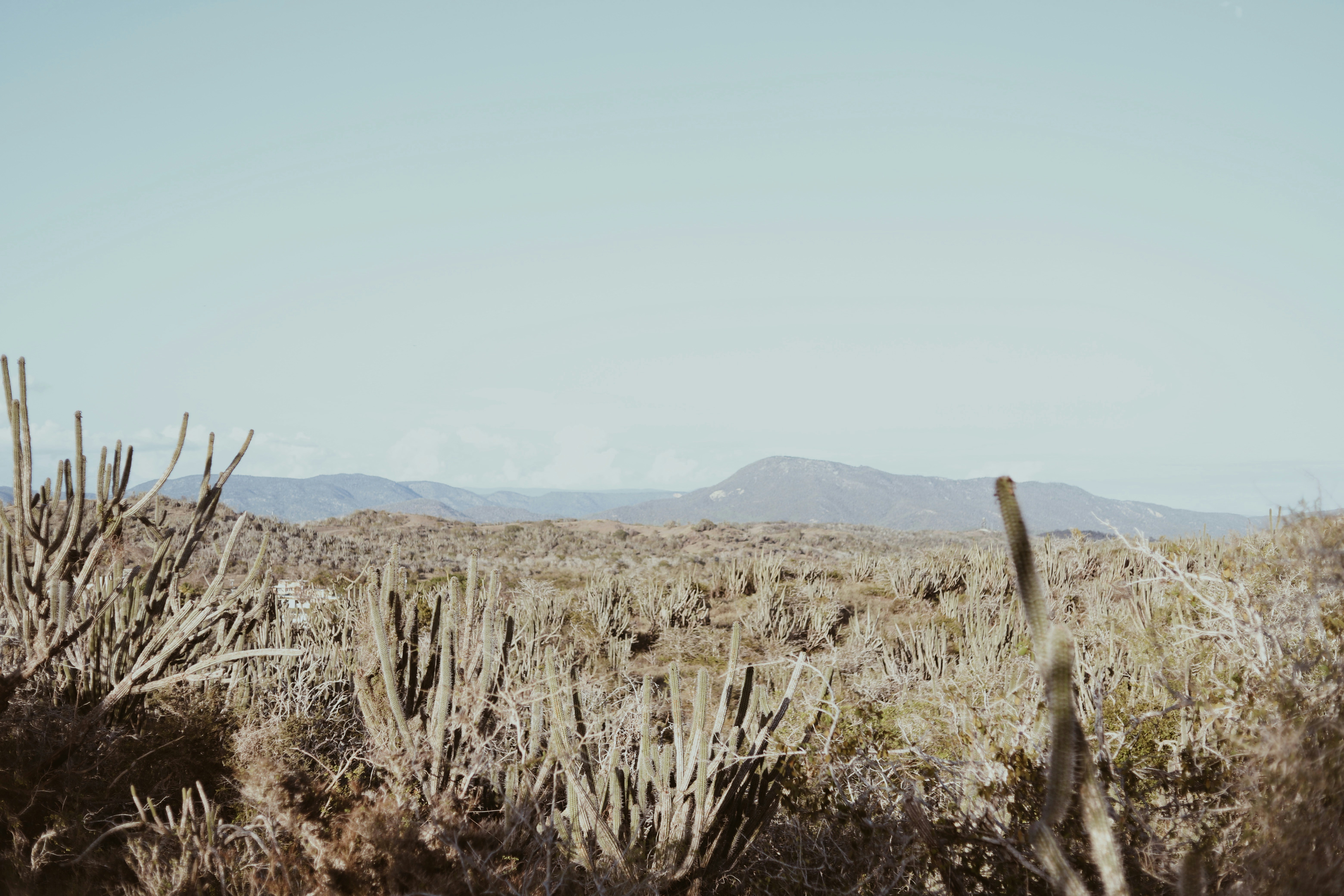 Photo by amyjoyhumphries