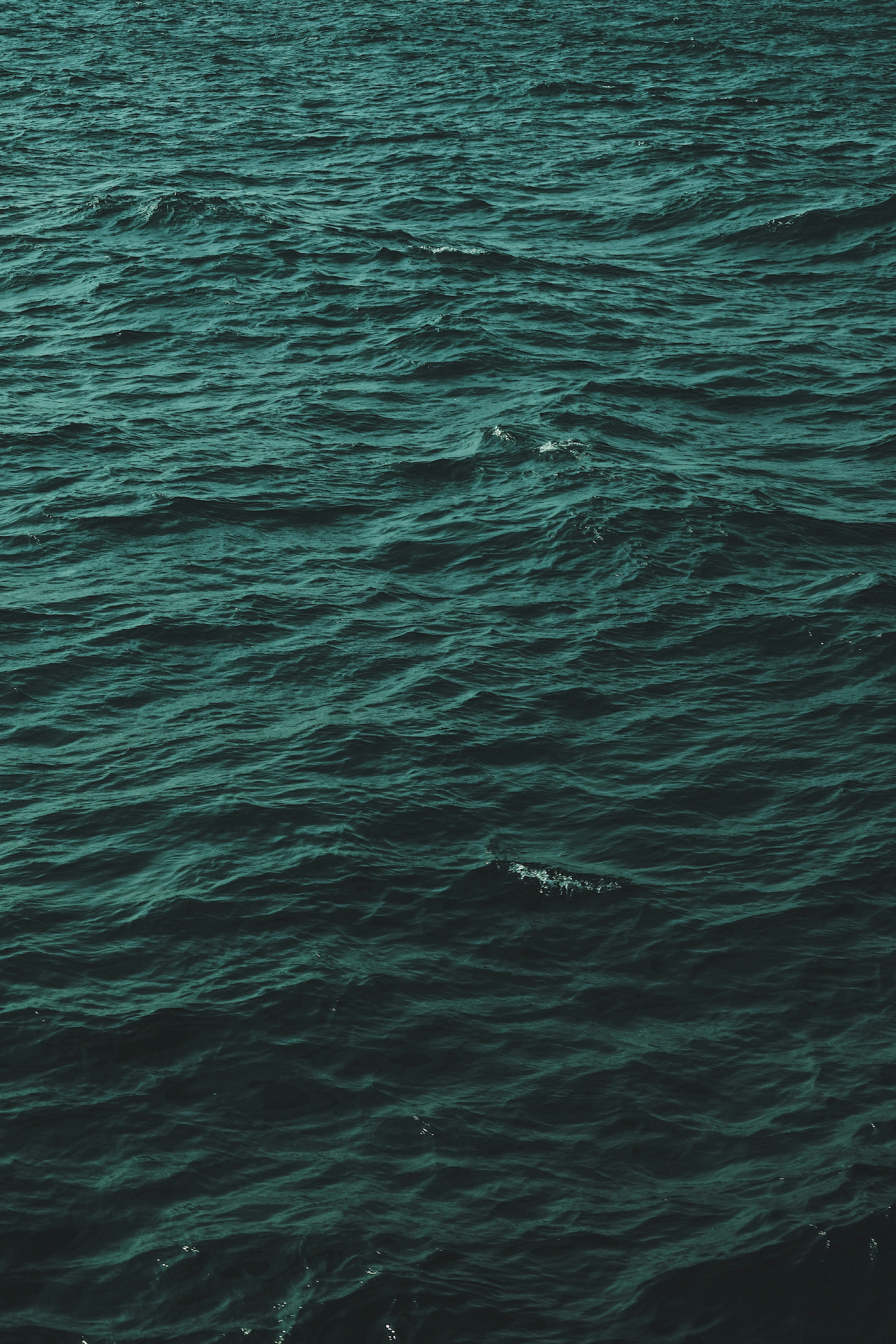 Photo by dynamicwang