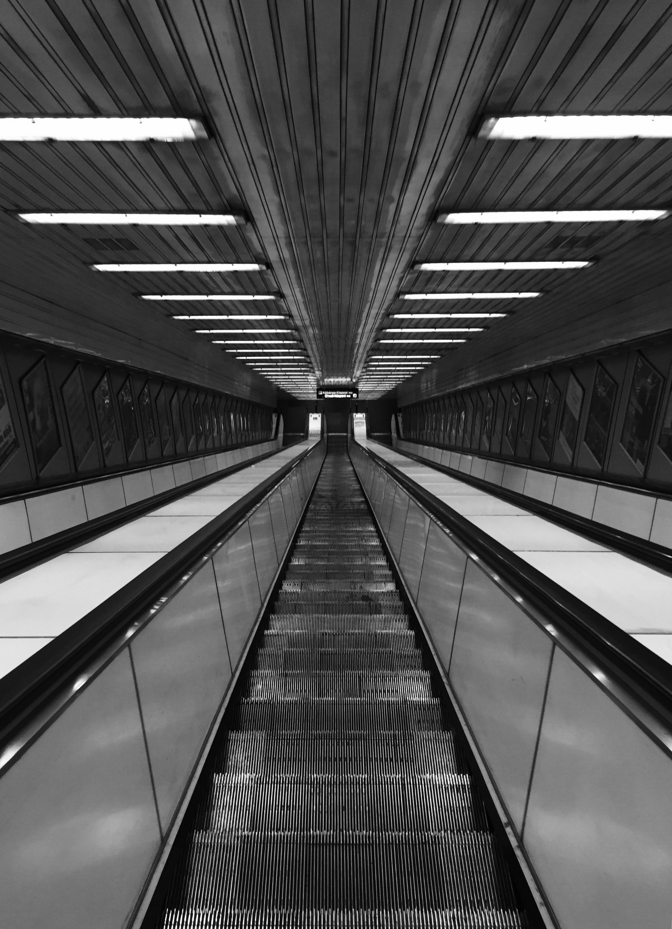 Photo by mihaly_koles