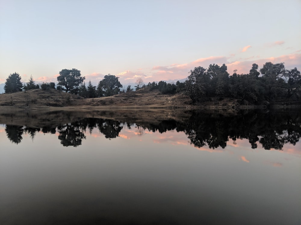 body of water across trees photo