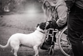 Friendly social worker assisting a disabled person during a home visit.