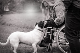Friendly social worker assisting a disabled person during a home visit.