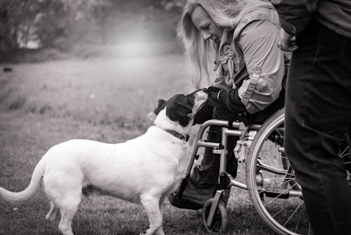 A person with long hair is sitting in a wheelchair, interacting affectionately with a black and white dog in a grassy outdoor setting. Another person's legs are partially visible, standing nearby.