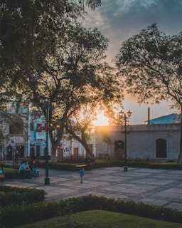 A thoughtful dad sitting on a park bench, watching his children play in the distance during golden hour.