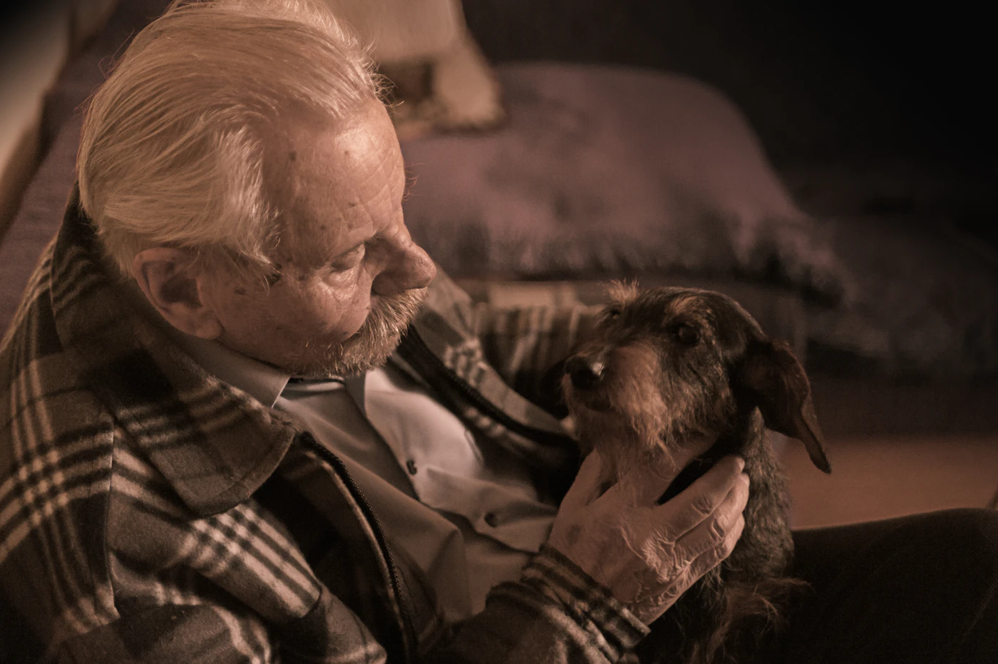 An older man with white hair holding a small wire-haired dog close to him in a softly lit living room at home