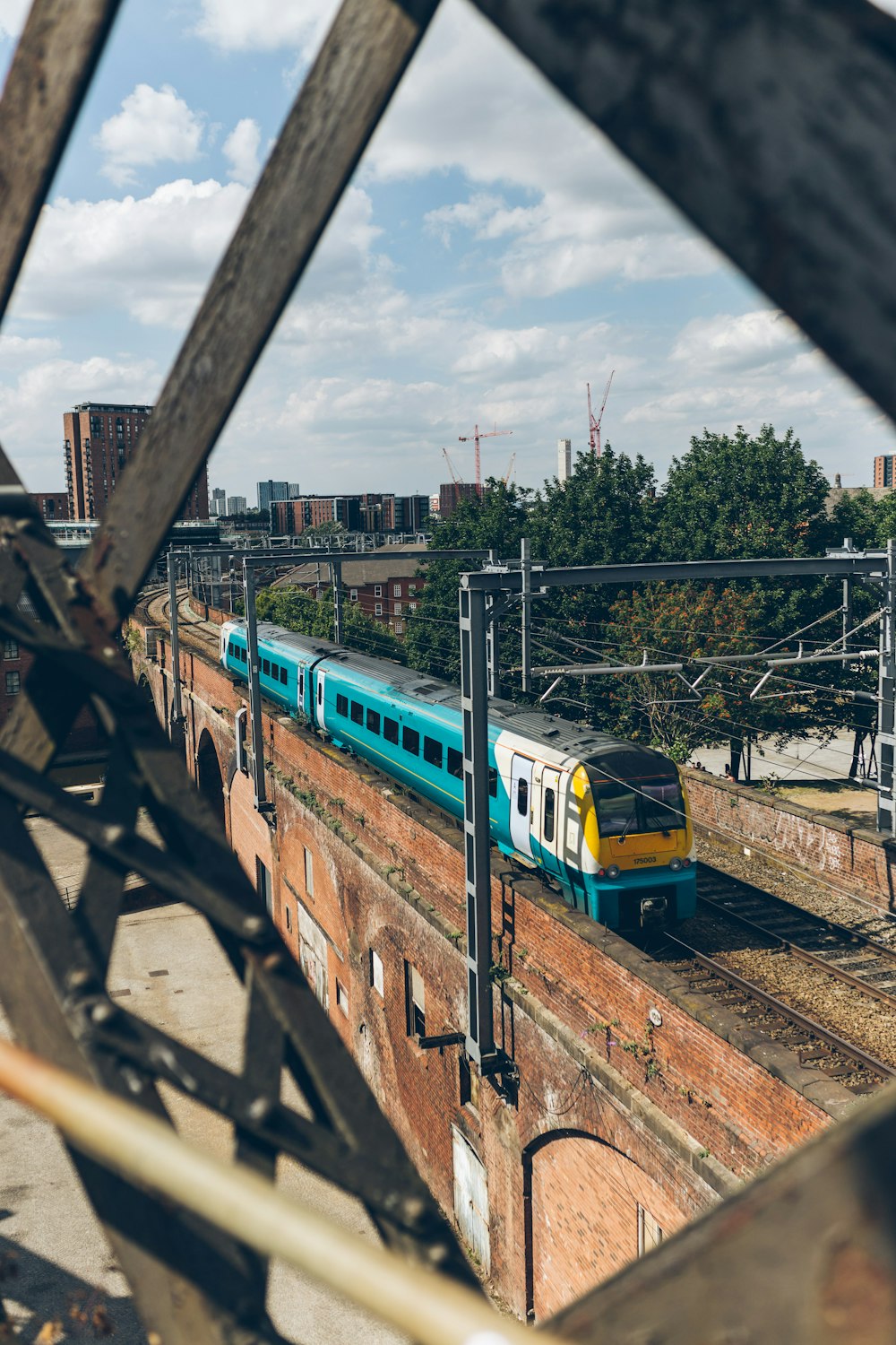 blue and yellow train near trees