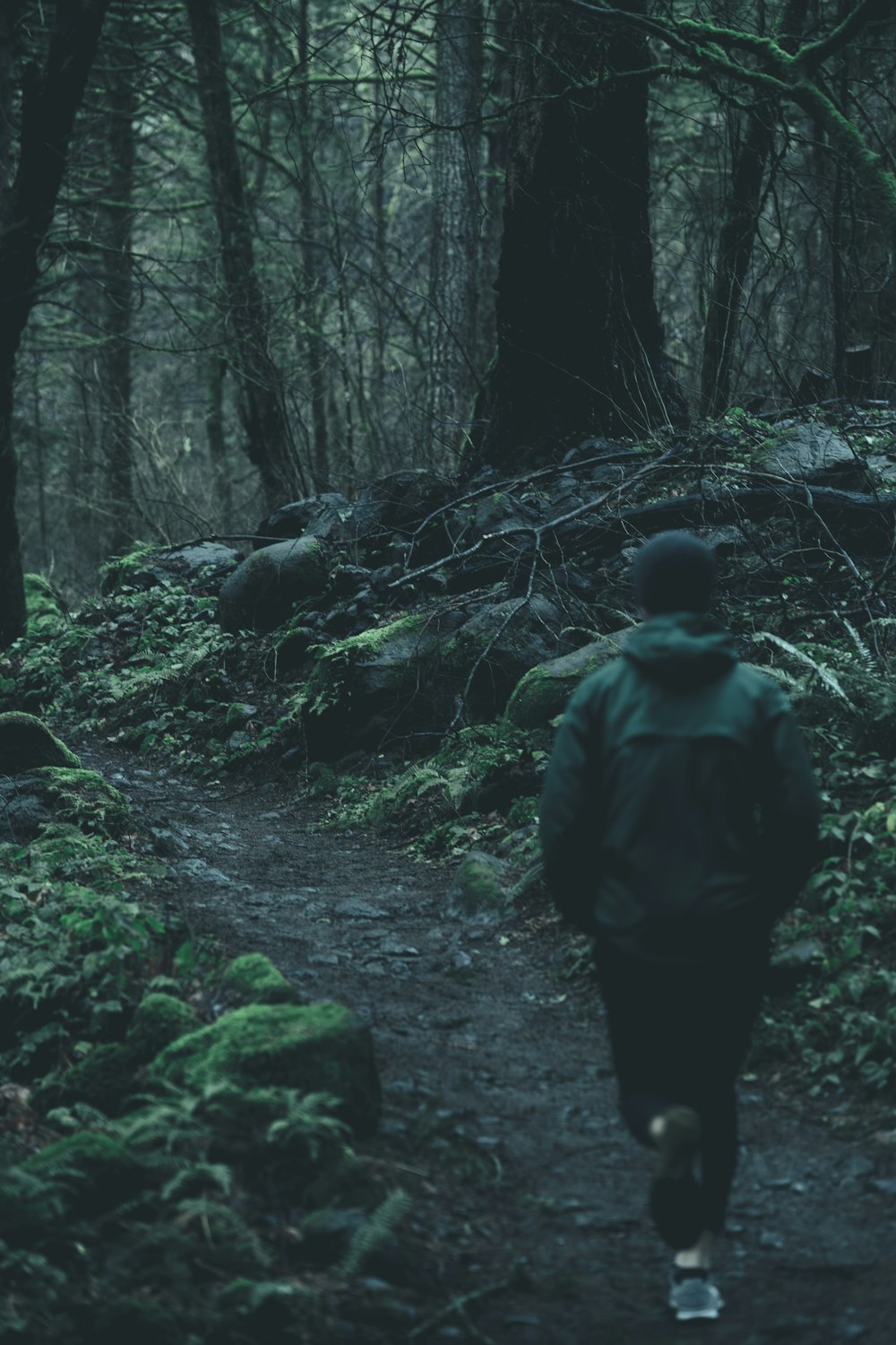 person between trees