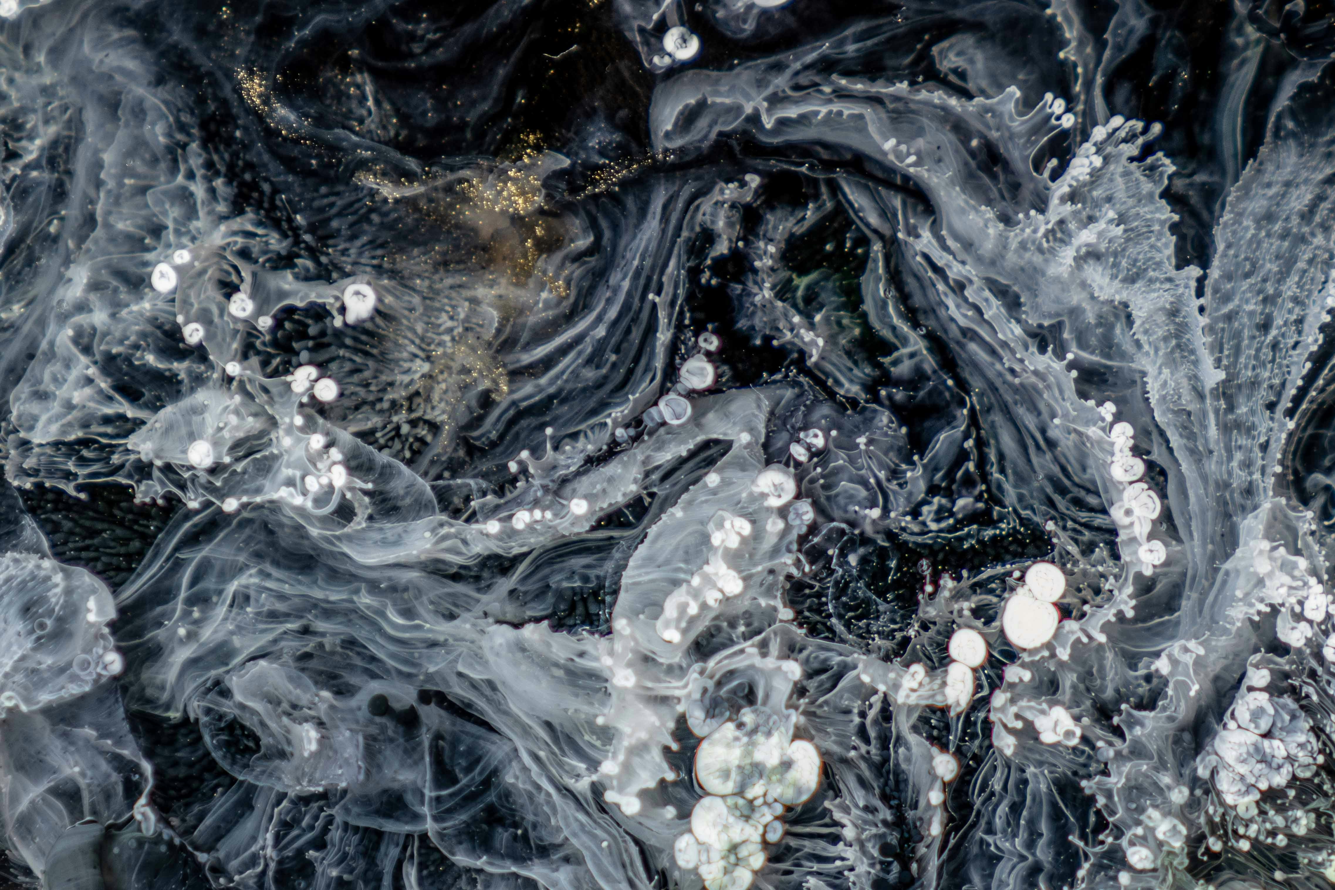 Photo by yazbeckistan