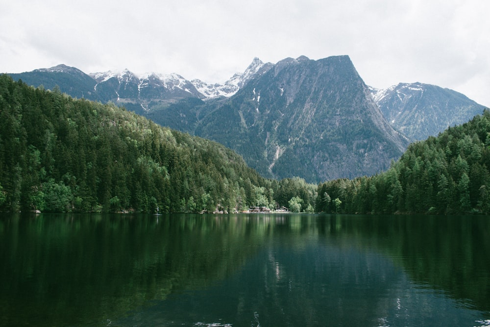 river surrounded by trees near mountain