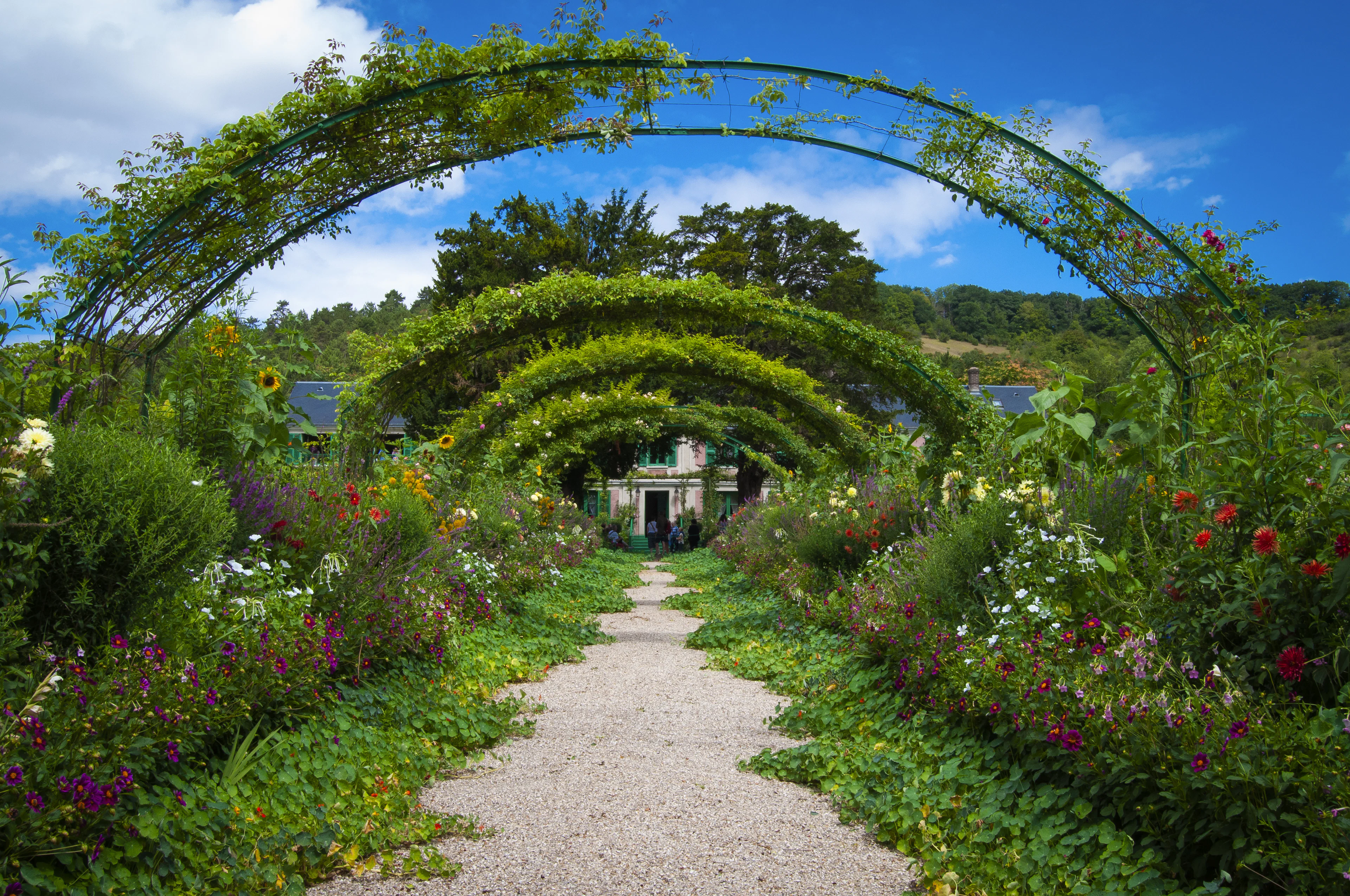 The Grande Allée of iron rose arches in Monet's garden leading to his pink house with green shutters, Giverny