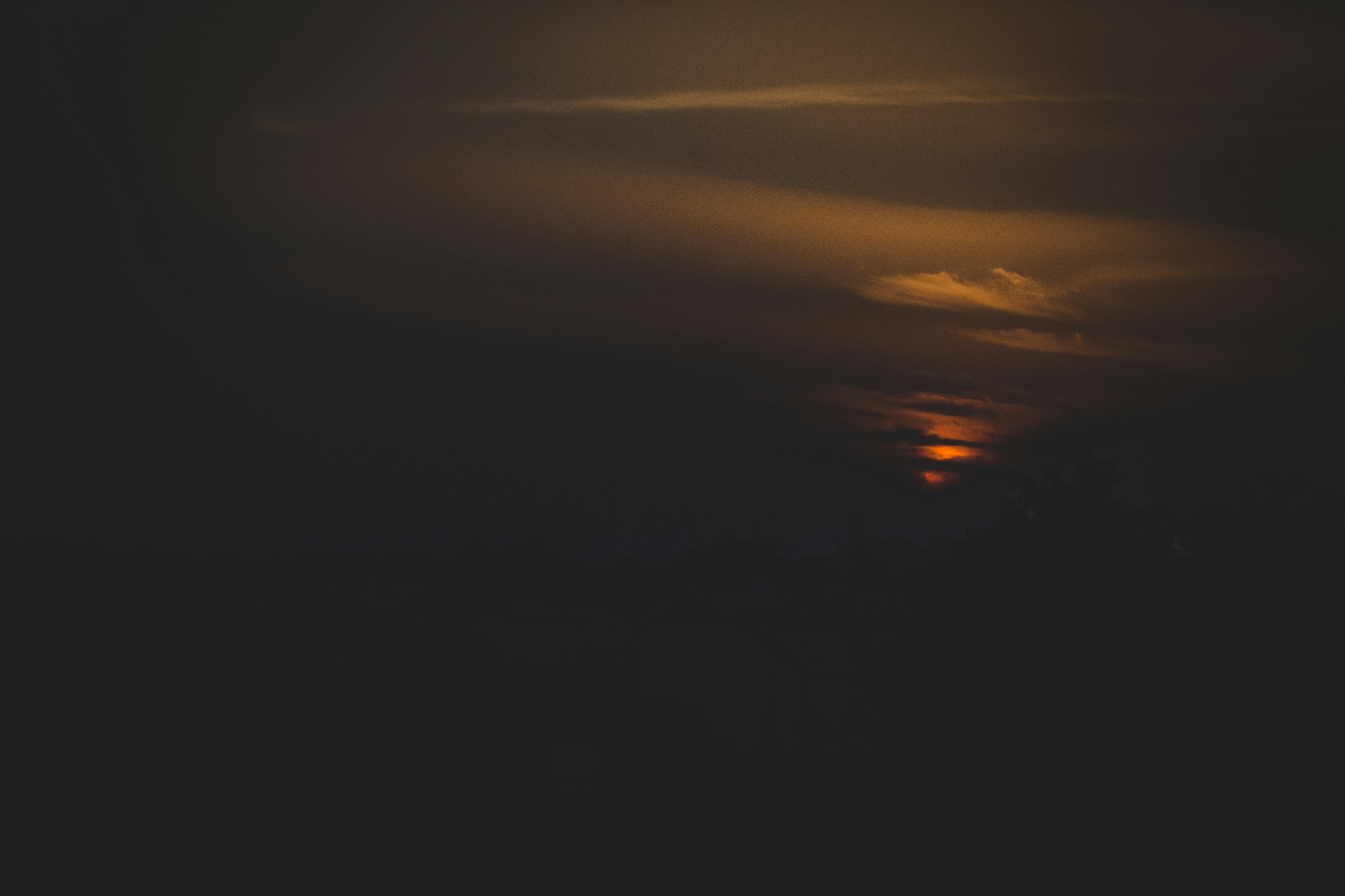 Photo by wildandbeyondbyvivek