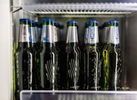 Several bottles of Ursus beer are neatly arranged on a refrigerator shelf. The bottles are green with blue and silver labels and are standing upright. The refrigerator interior is visible with a metal shelf above, giving a cool and organized appearance.