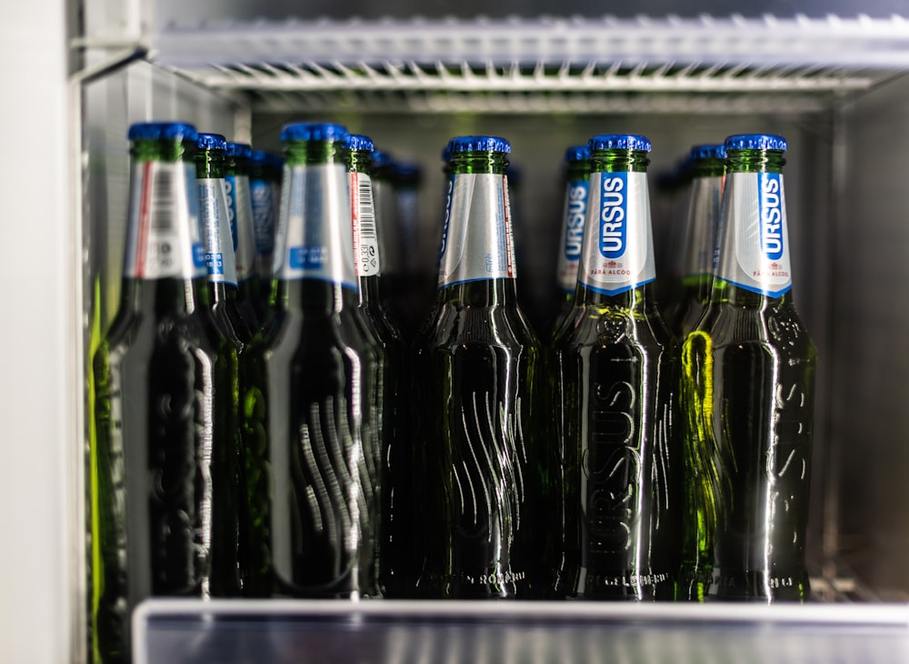 pile of Ursus beer bottles inside beverage cooler