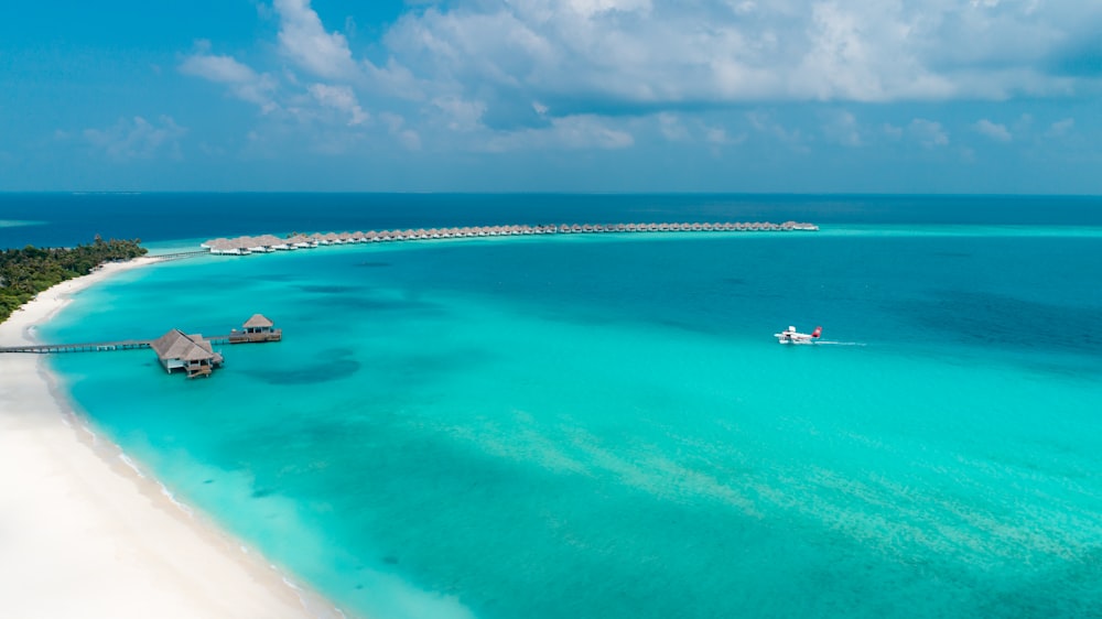 beach under blue sky