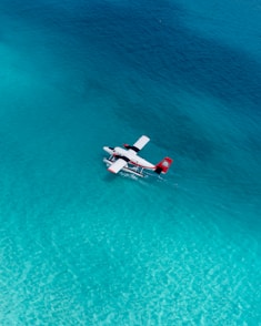 white sea plane