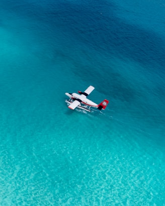 white sea plane