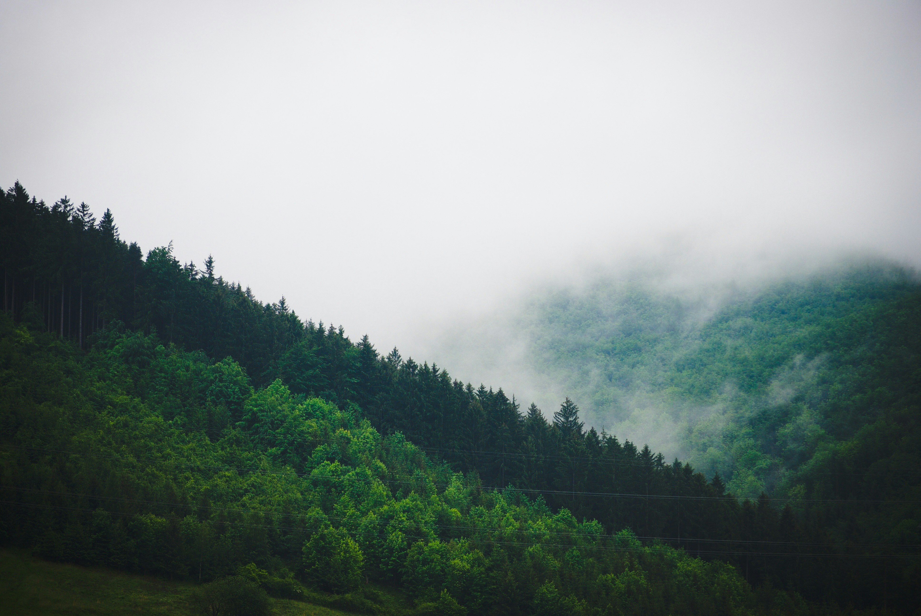 Photo by vanesapucci