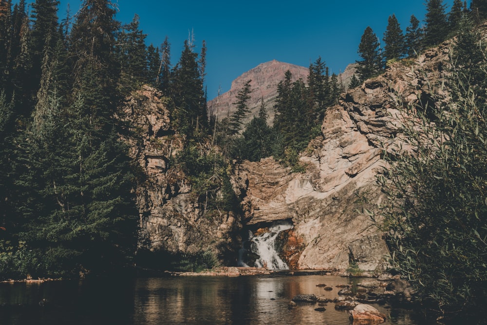 waterfalls in between rock boulders with trees