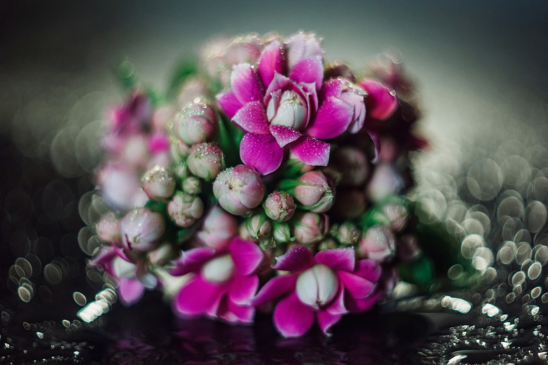 woman wearing yellow long-sleeved dress under white clouds and blue sky during daytime