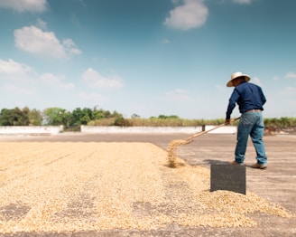 man drying seeds