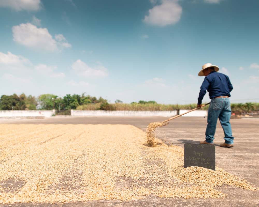 man drying seeds