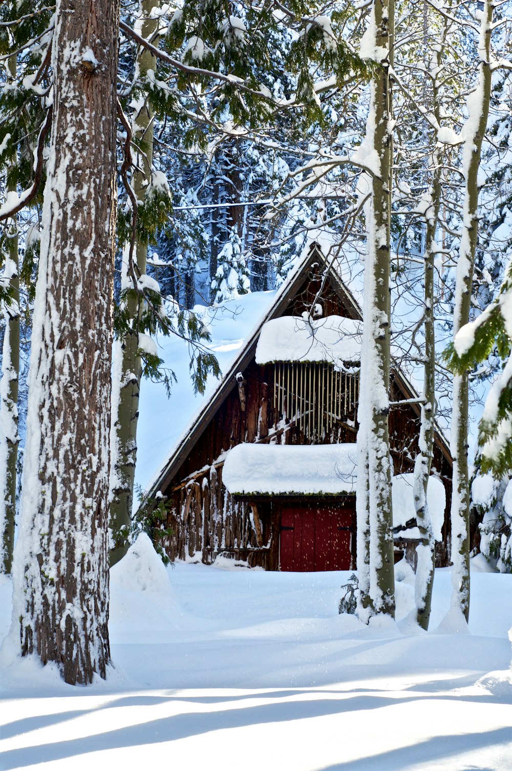 red wooden house in the middle of icy surface