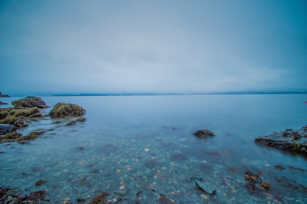 brown rocks on sea