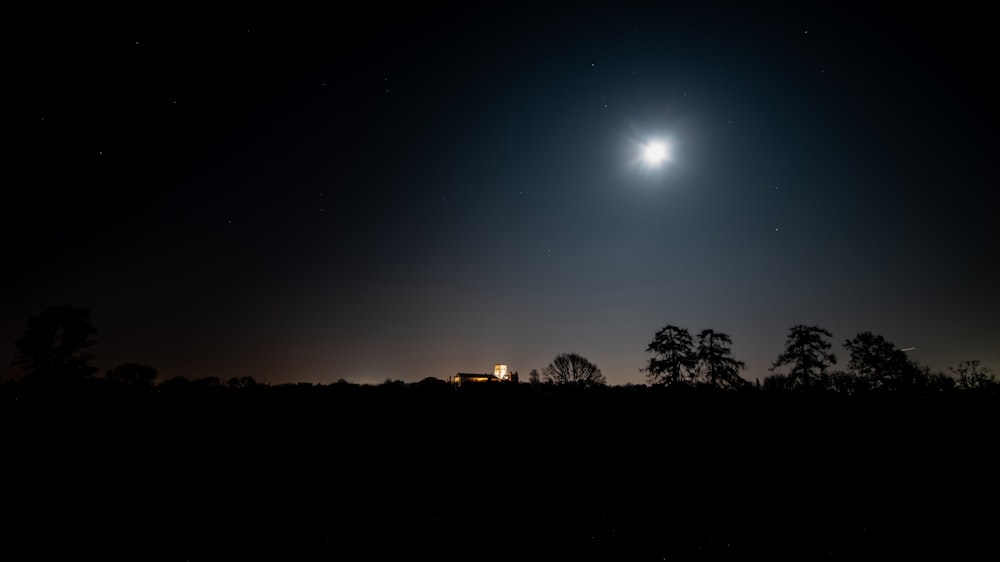 moon and trees