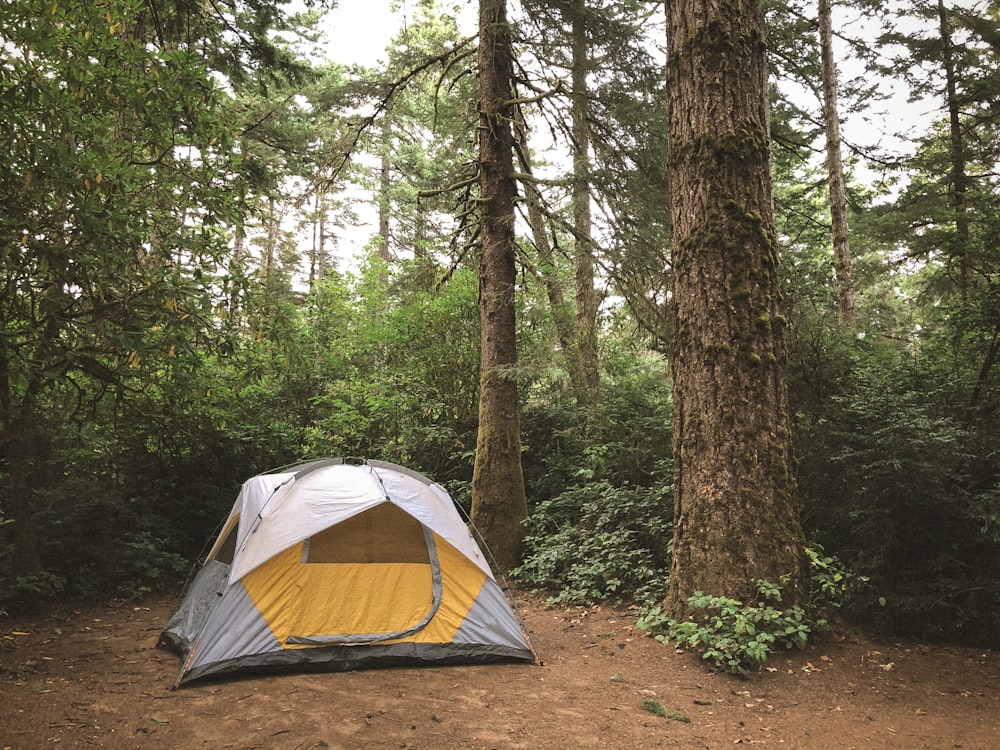 숲에서 회색과 노란색 돔 텐트
