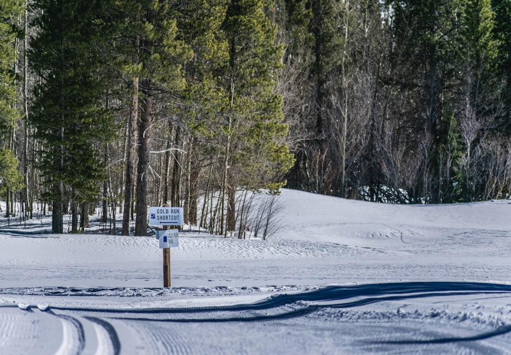 white signage near trees on snow field