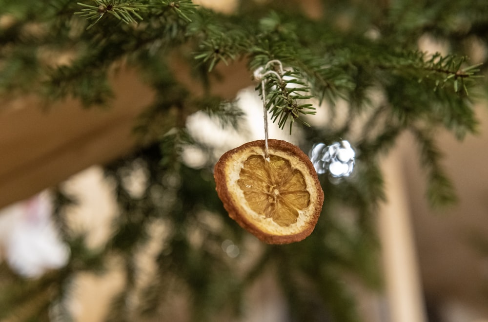 décor suspendu de fruits orange sur la photographie de mise au point sélective