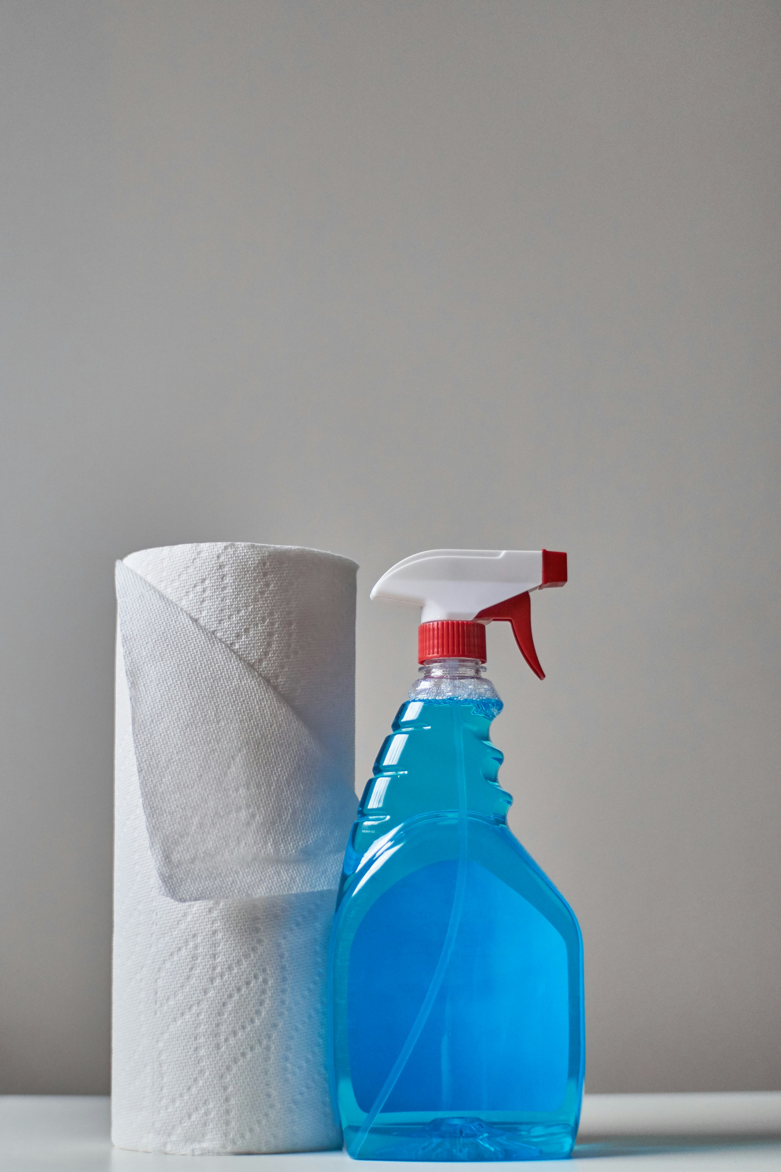 Carpet Stain Removal