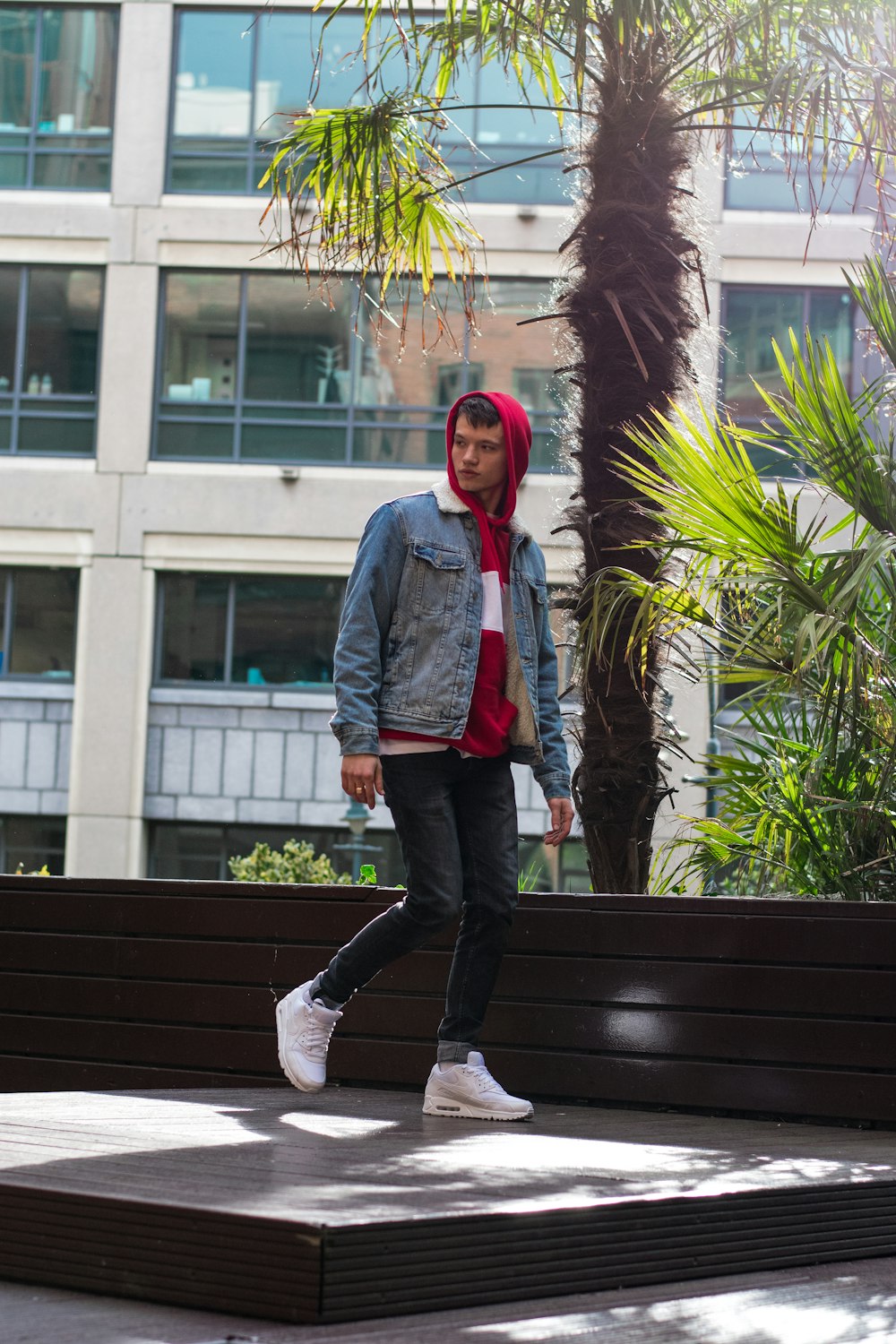 man wearing blue denim jacket standing beside palm trees