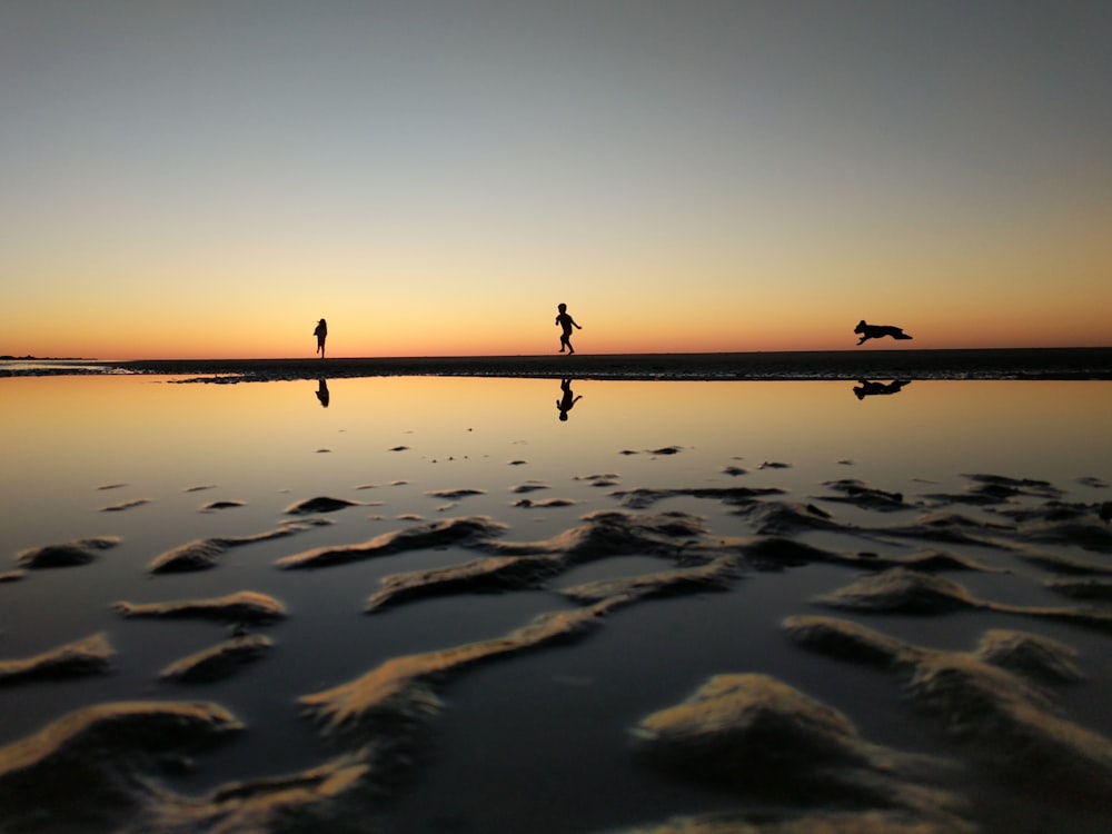 silhouette of boy