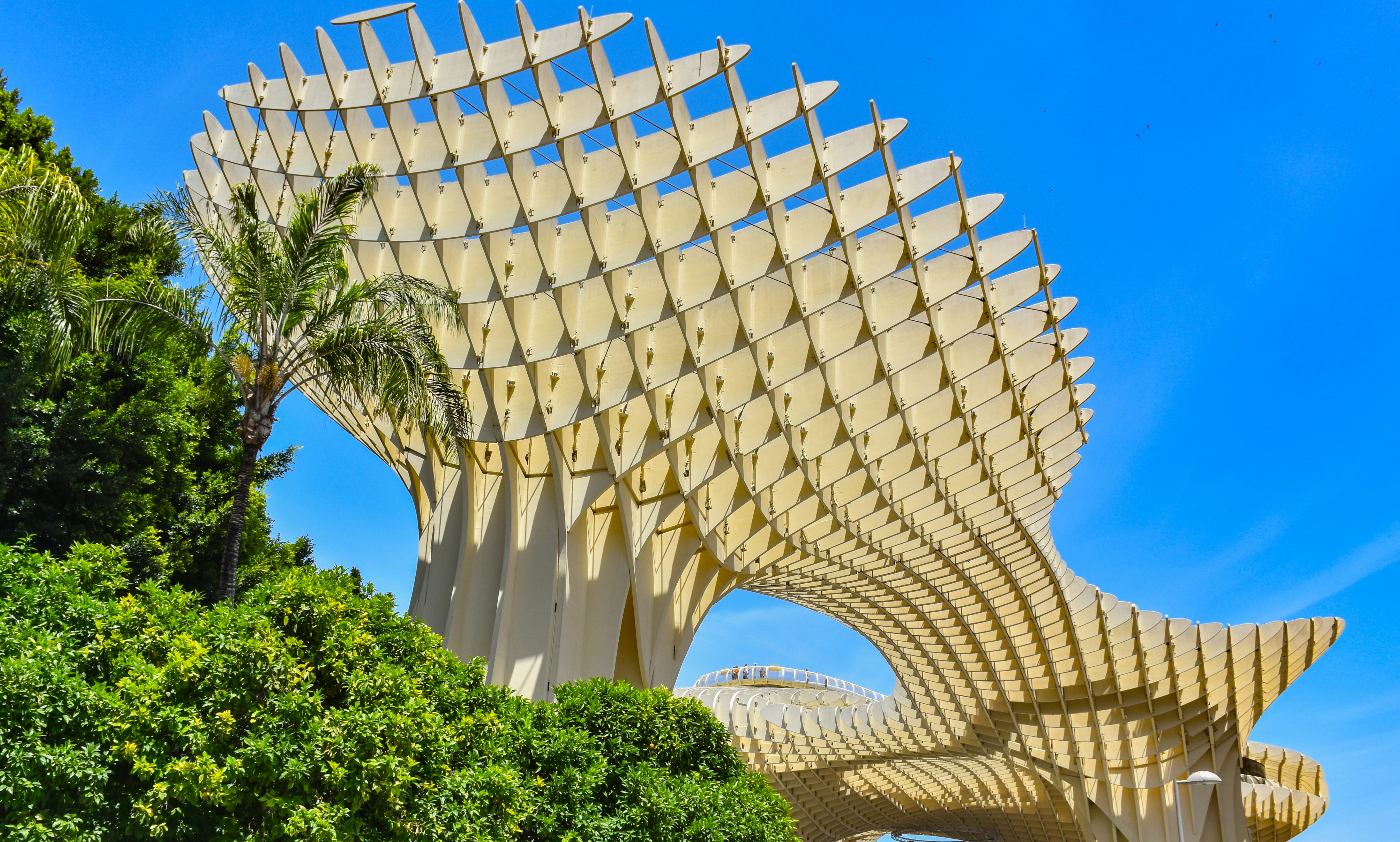 Weiße Struktur neben grüner Pflanze