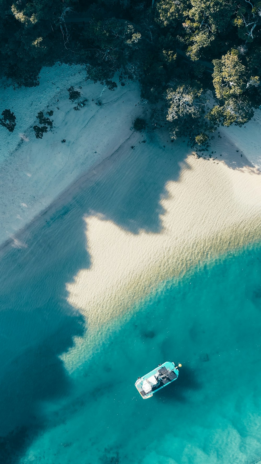 boat by shore near trees in aerial photgraphy