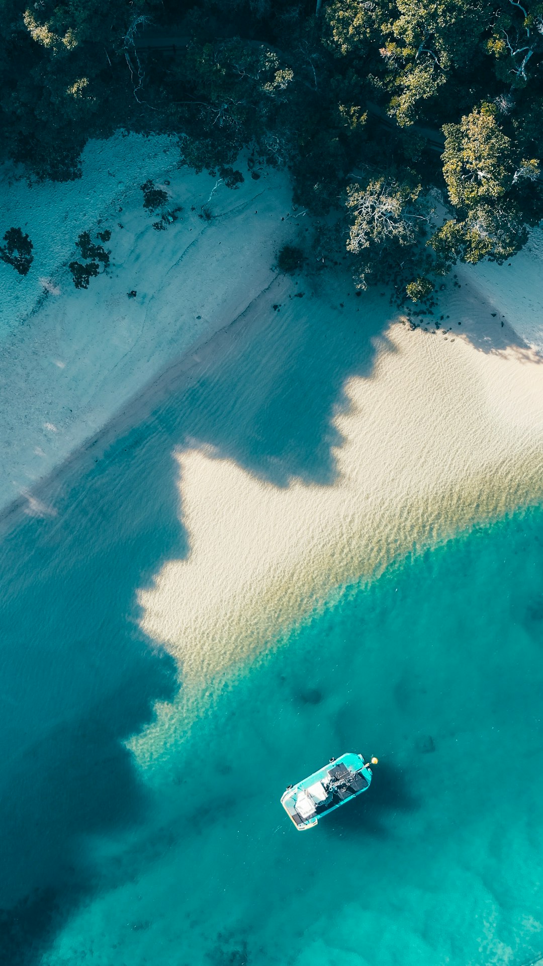 boat by shore near trees in aerial photgraphy