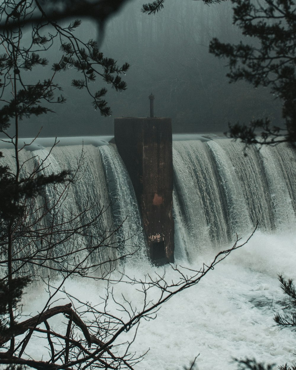 water dam view from trees