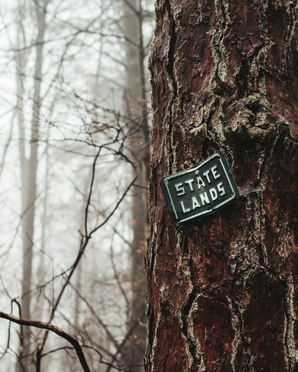 green State Lands sign on tree