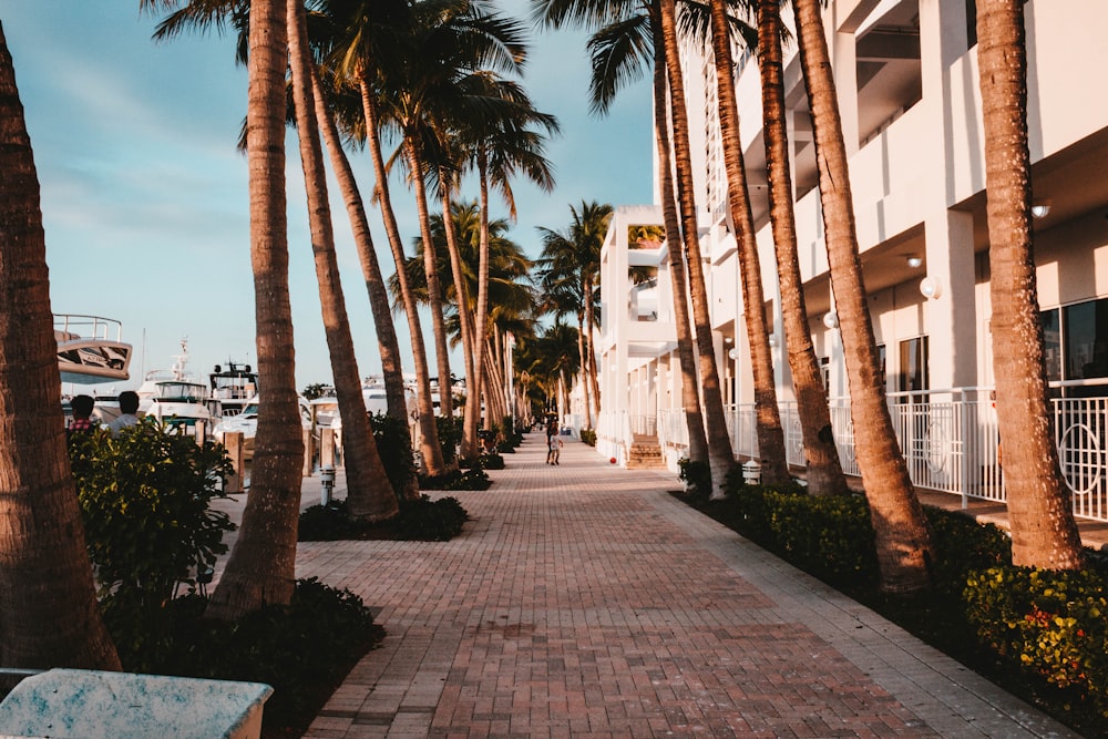 white concrete buildings