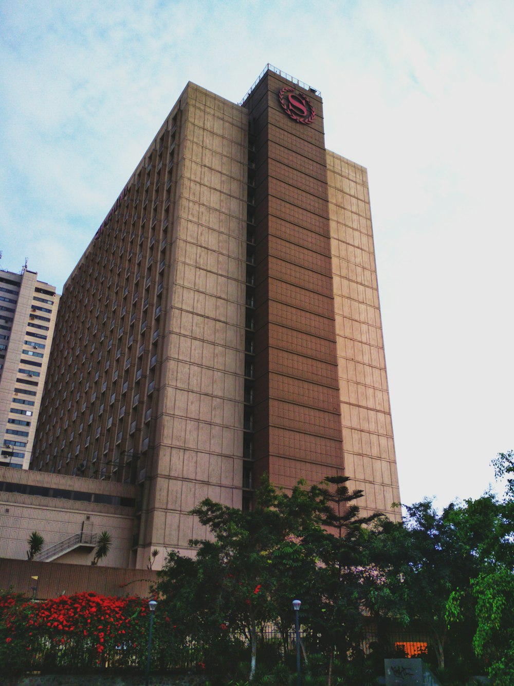 green trees across brown tall building